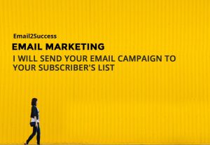 2855I will send email campaign successfully using a very friendly email service provider