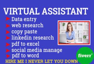 3318I will be your virtual assistant for data entry, web research, data mining etc.