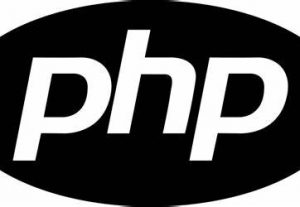 4064I will develop a website using PHP, Codeigniter, laravel, WordPress