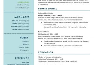 4607I will provide custom professional resume or cv writing services