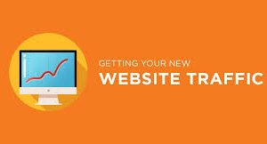 5663I will Increase Your Website Traffic