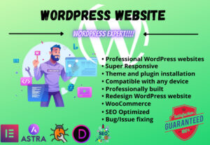 6423I will install wordpress, setup theme, do customization