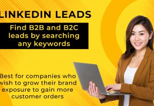 7323I will search real b2b and b2c linkedin leads using any keyword